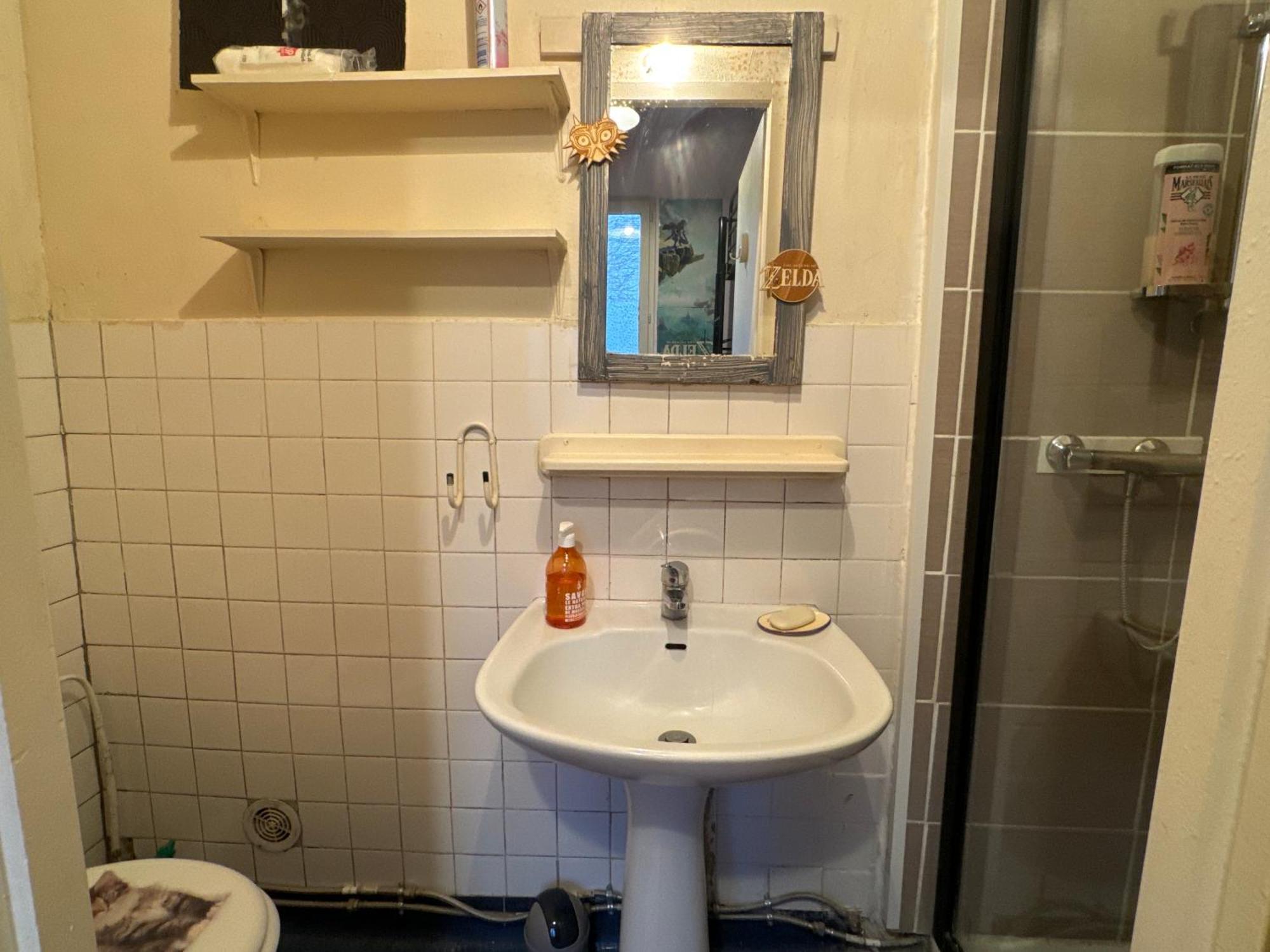 Zelda Apartment Безансон Екстериор снимка